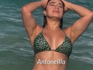 Antonellla