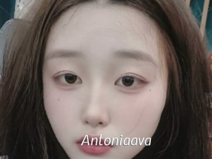Antoniaava
