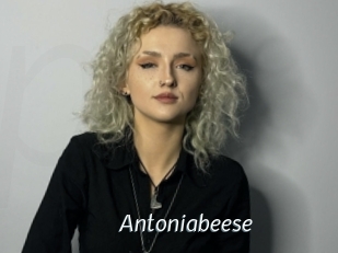Antoniabeese
