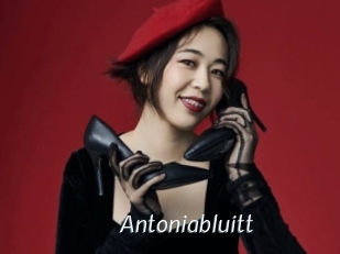 Antoniabluitt