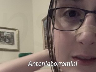Antoniaborromini