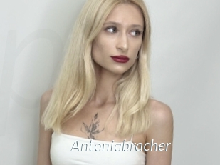 Antoniabracher