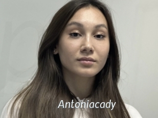 Antoniacady