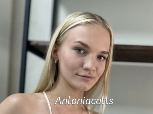Antoniacatts