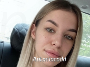 Antoniacodd