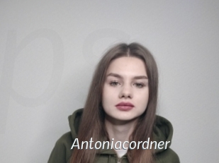 Antoniacordner