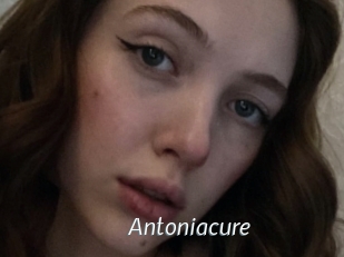 Antoniacure