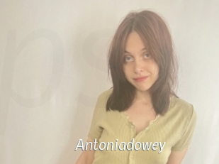 Antoniadowey
