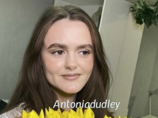Antoniadudley