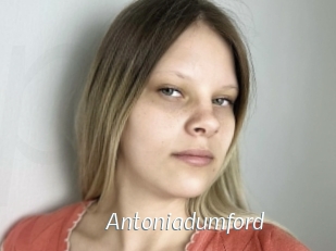 Antoniadumford