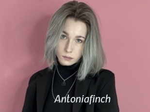 antoniafinch Porn Star