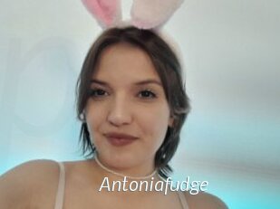 Antoniafudge