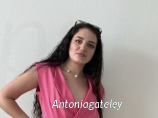 Antoniagateley