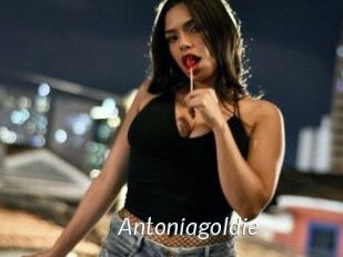 Antoniagoldie