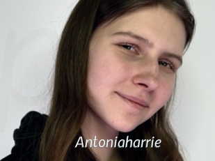 antoniaharrie Porn Star