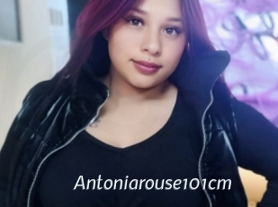 Antoniarouse101cm
