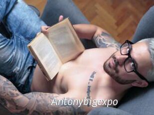 Antonybigexpo