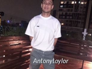 Antonytaylor