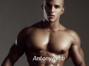 Antonywebb