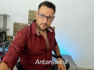 Antonywesk