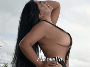 Antovella