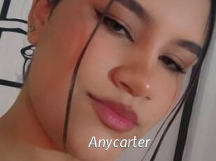 Anycarter