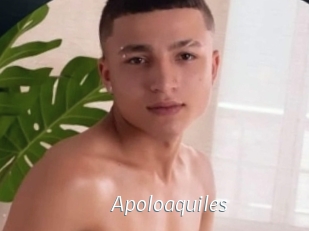 Apoloaquiles