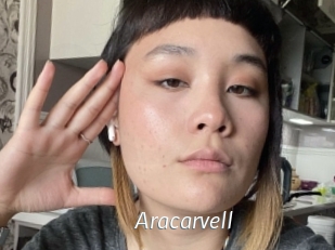 Aracarvell