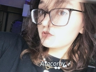 Aracorby