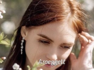 Araeggett