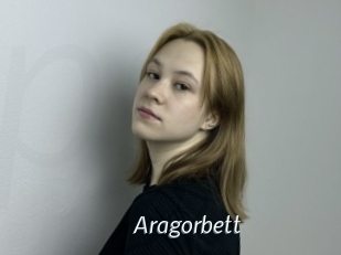 Aragorbett