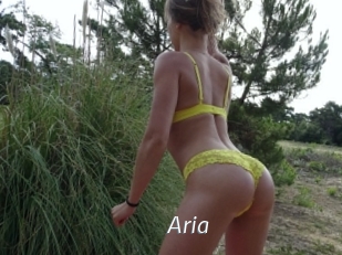 Aria