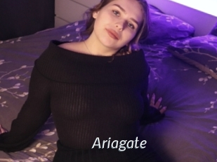 Ariagate