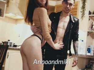 Arinaandmiki