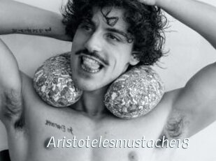 Aristotelesmustache18
