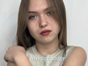 Arleighbodge