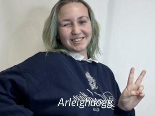 Arleighdagg