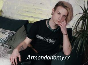 Armandohornyxx