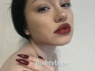 Audreybigge