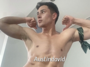 austindavid Porn Star