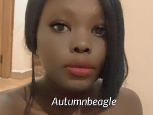Autumnbeagle