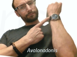Avalonadonis