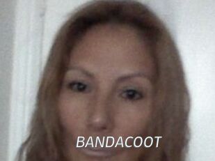 BANDACOOT