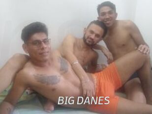 BIG_DANES