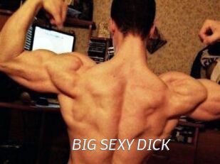 BIG_SEXY_DICK