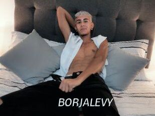 BORJALEVY