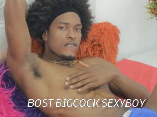 BOST_BIGCOCK_SEXYBOY