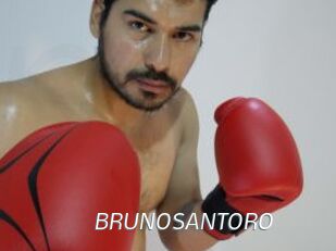 BRUNOSANTORO