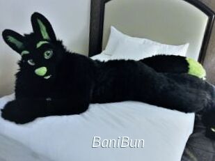 BaniBun