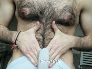 Bearcat